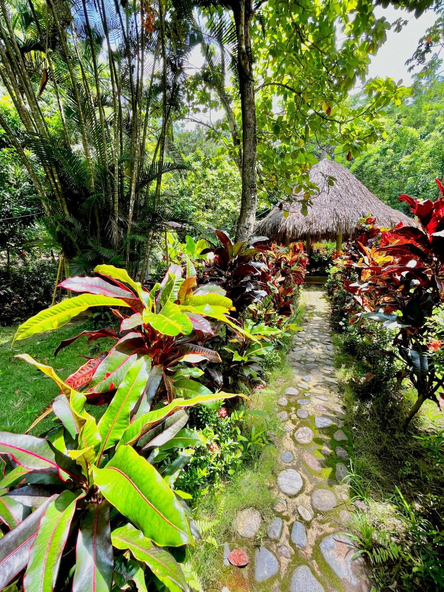 Santuario Tayrona Hostel Calabazo  Exterior photo